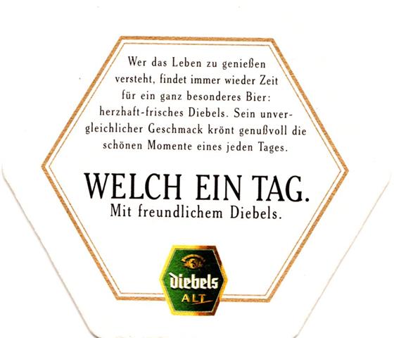 issum kle-nw diebels welch ein 3b (6eck195-wer das leben)